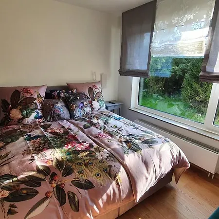 Wilhelmshoeher Weg * 卡塞尔